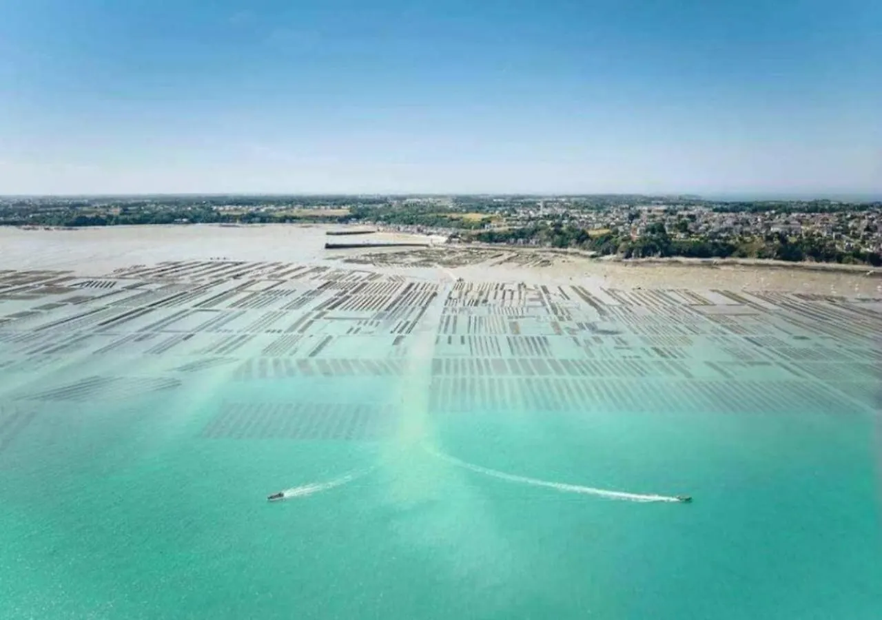La Merveille By Mrodbnb - Appart Neuf - Vue Mer - 25M Plage & Resto - Cine - Cheminee - Popcorn Cancale 0*,  France